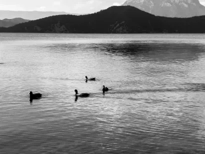 ΣλοτοΚας Καζίνο Κινητη εφαρμογη